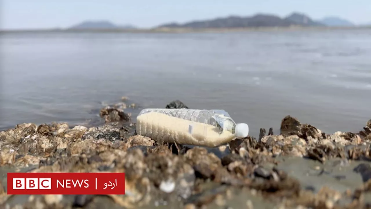 جنوبی کوریا سے چاول کی بوتلیں شمالی کوریا کیوں بھیجی جا رہی ہیں؟