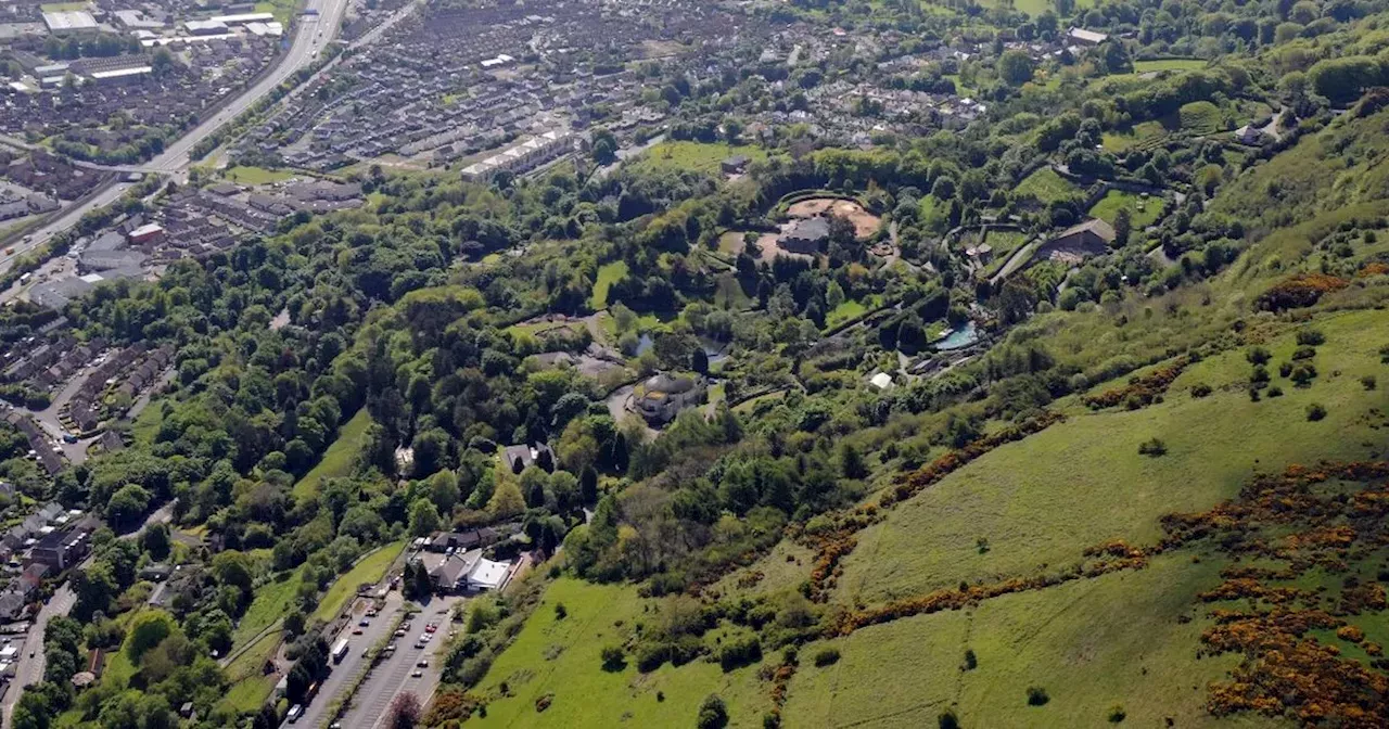 Belfast Zoo in pictures as popular visitor attraction marks 90th birthday