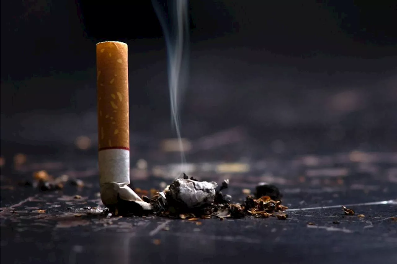 Big smoking taxes in South Africa – call for SARS to take a larger chunk