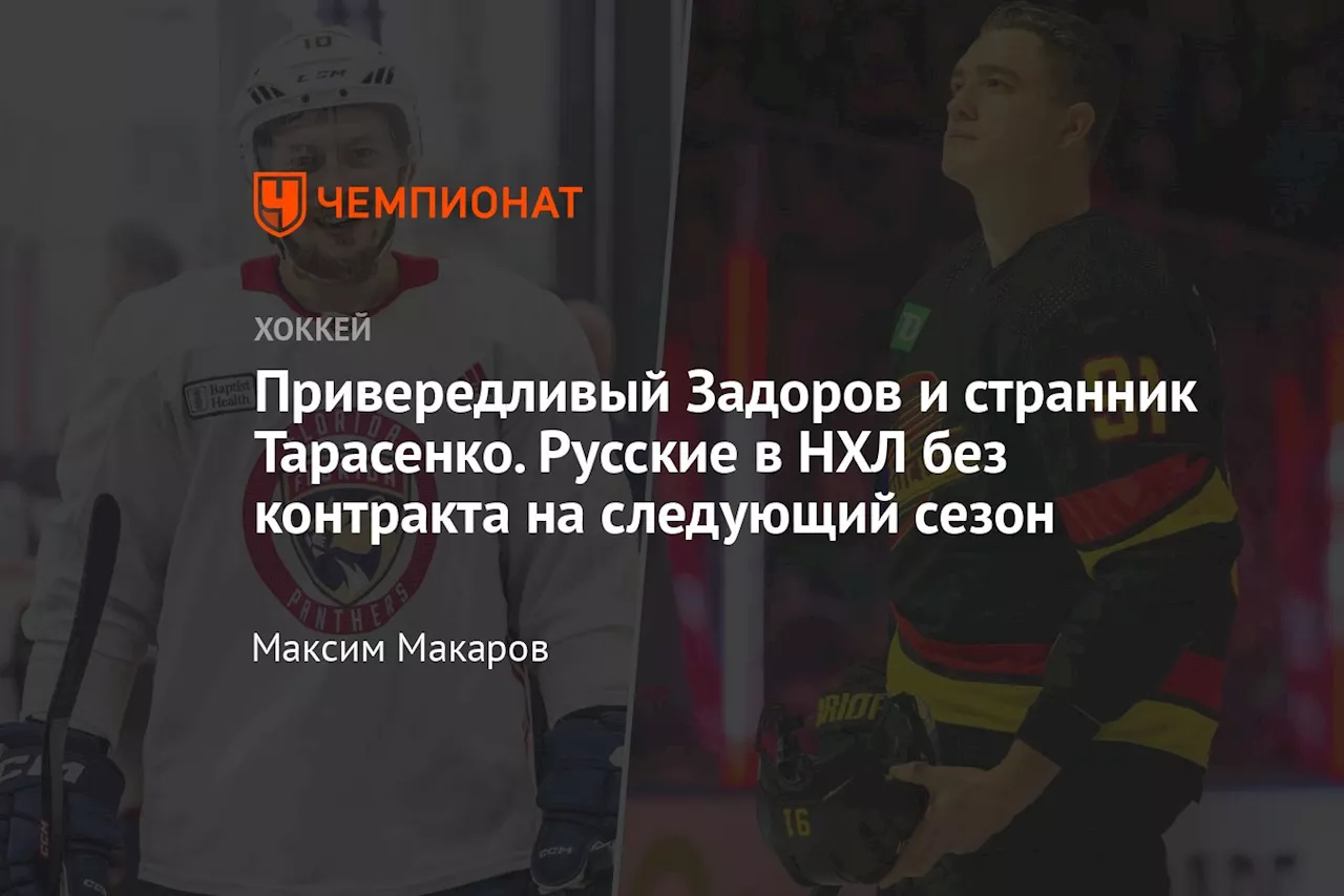 Привередливый Задоров и странник Тарасенко. Русские в НХЛ без контракта на следующий сезон