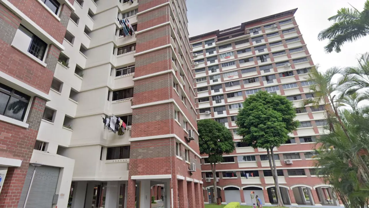 Dozens of HDB blocks, precincts across Singapore to get S$95 million upgrade