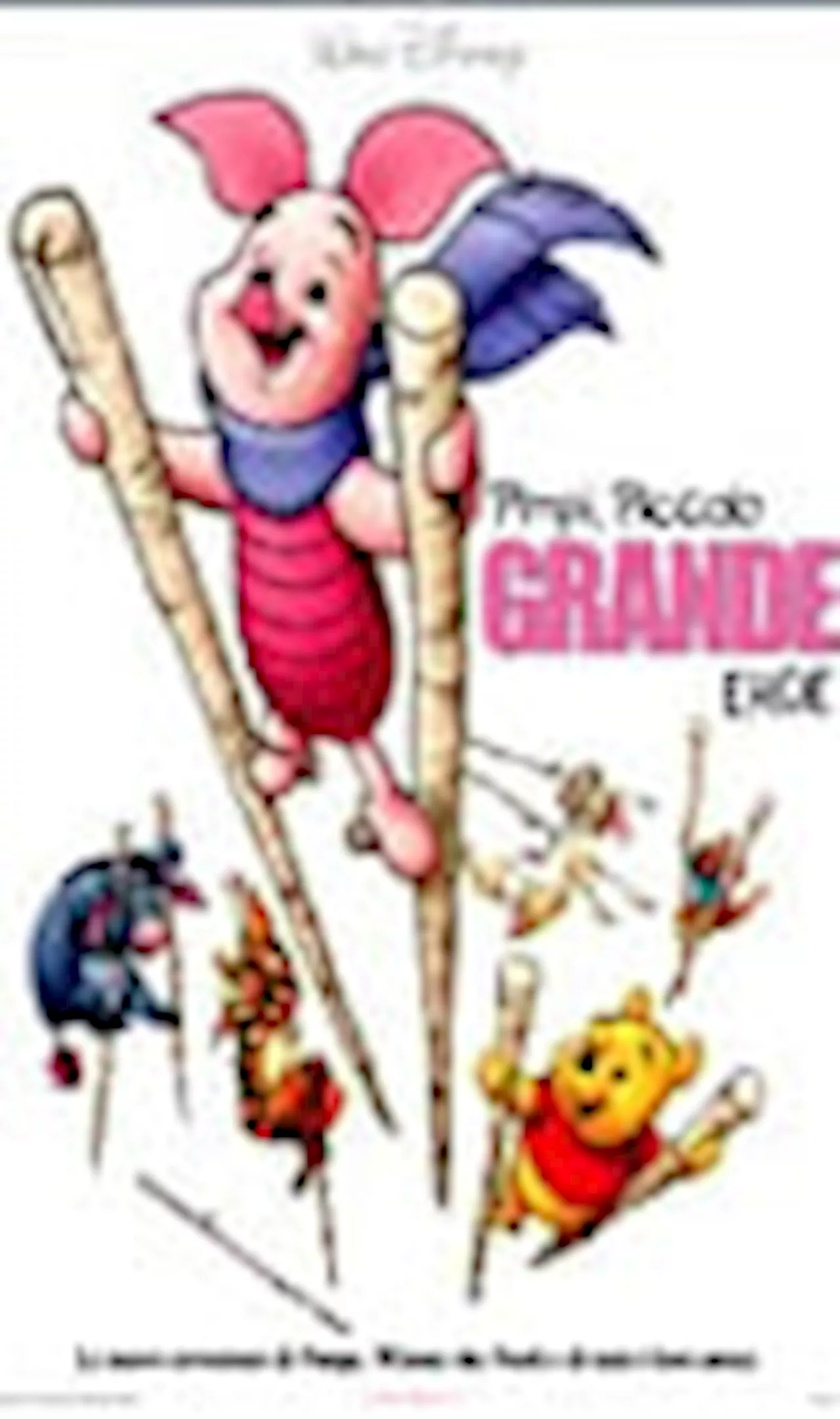 PIMPI, PICCOLO GRANDE EROE - Film (2003)