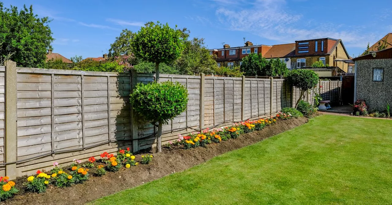 How to tell which garden fence is yours and who is responsible for repairs