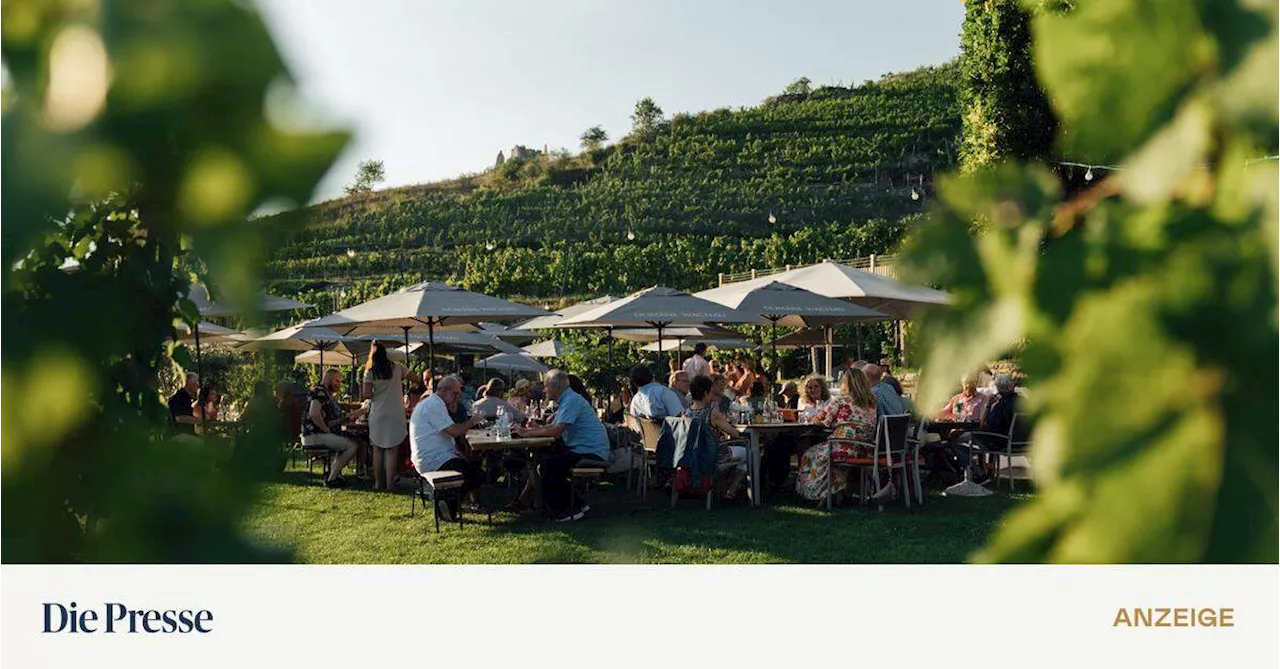 Kultur mit einem Glaserl Wein