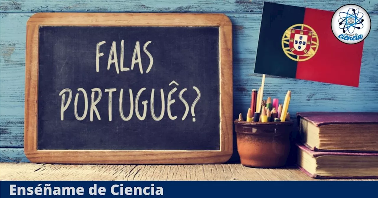 Aprende a hablar Portugués desde cero con este curso virtual 100% GRATIS