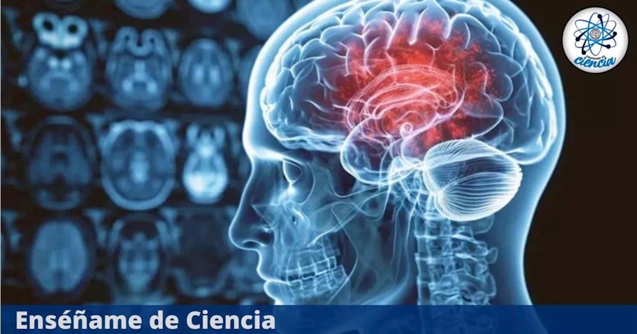 Científicos crean el primer dispositivo con IA para pacientes con parálisis cerebral