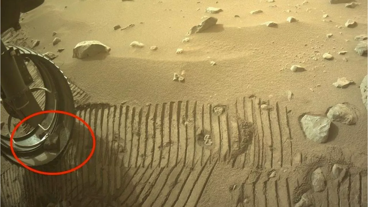 NASA Mars Rover Picks Up Pet Rock Named ‘Dwayne’