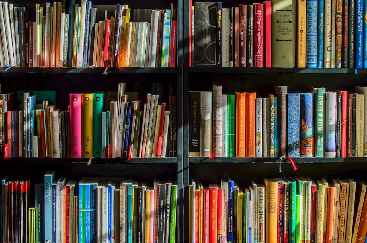 Tailoring Textual Resources for Evaluation Tasks: Long-Form Text Summarization