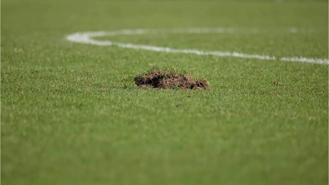 'Ausländer raus' – Nazi-Skandal nach Fußballspiel