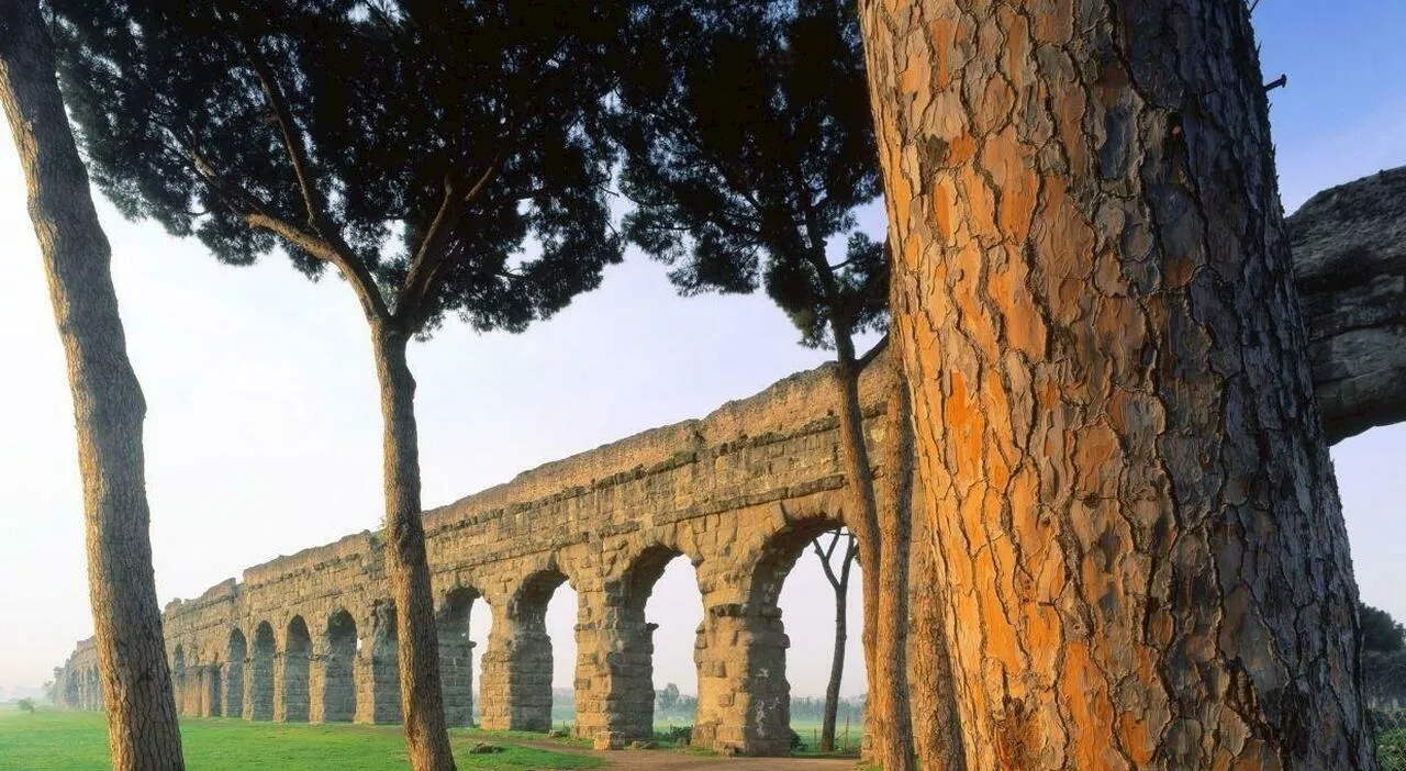 Roma, via alla riqualificazione di 325 mila alberi: il piano del Campidoglio per la città