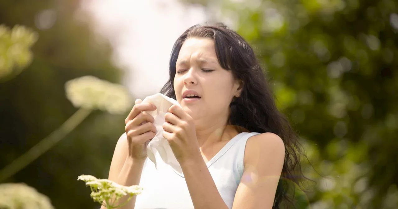 Hay fever hack that can actually work and save you a small fortune