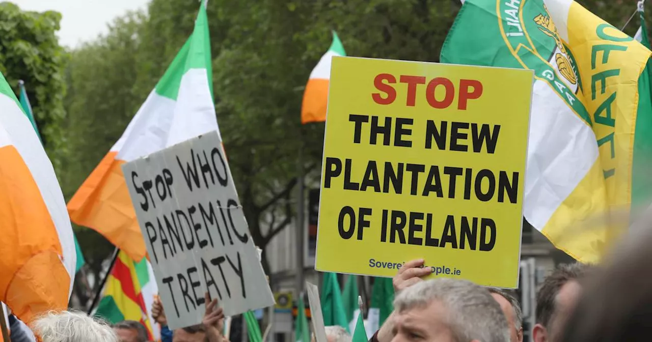 Plantations, ‘patriots’ and Pádraig Pearse: What is ethnonationalism and how did it get on the ballot?