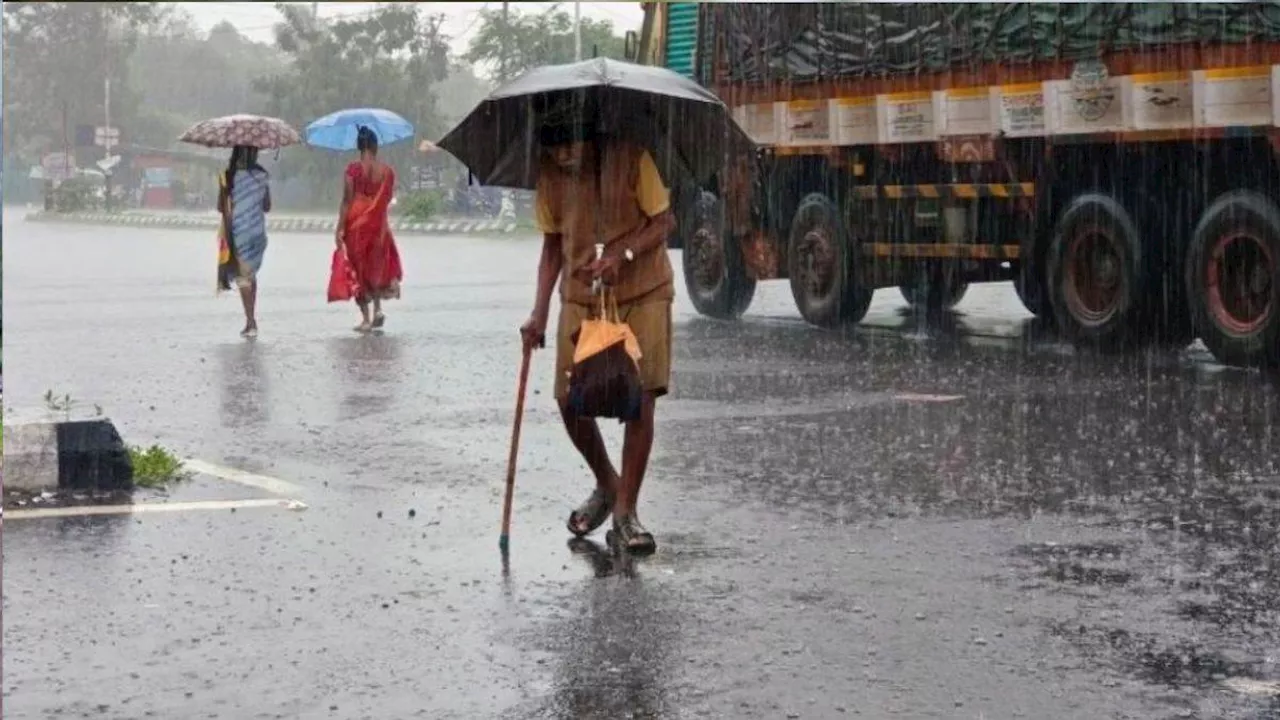 भूस्खलन, जलभराव और उखड़े पेड़....केरल में भारी बारिश बनी आफत; मानसून से जीवन अस्त-व्यस्त