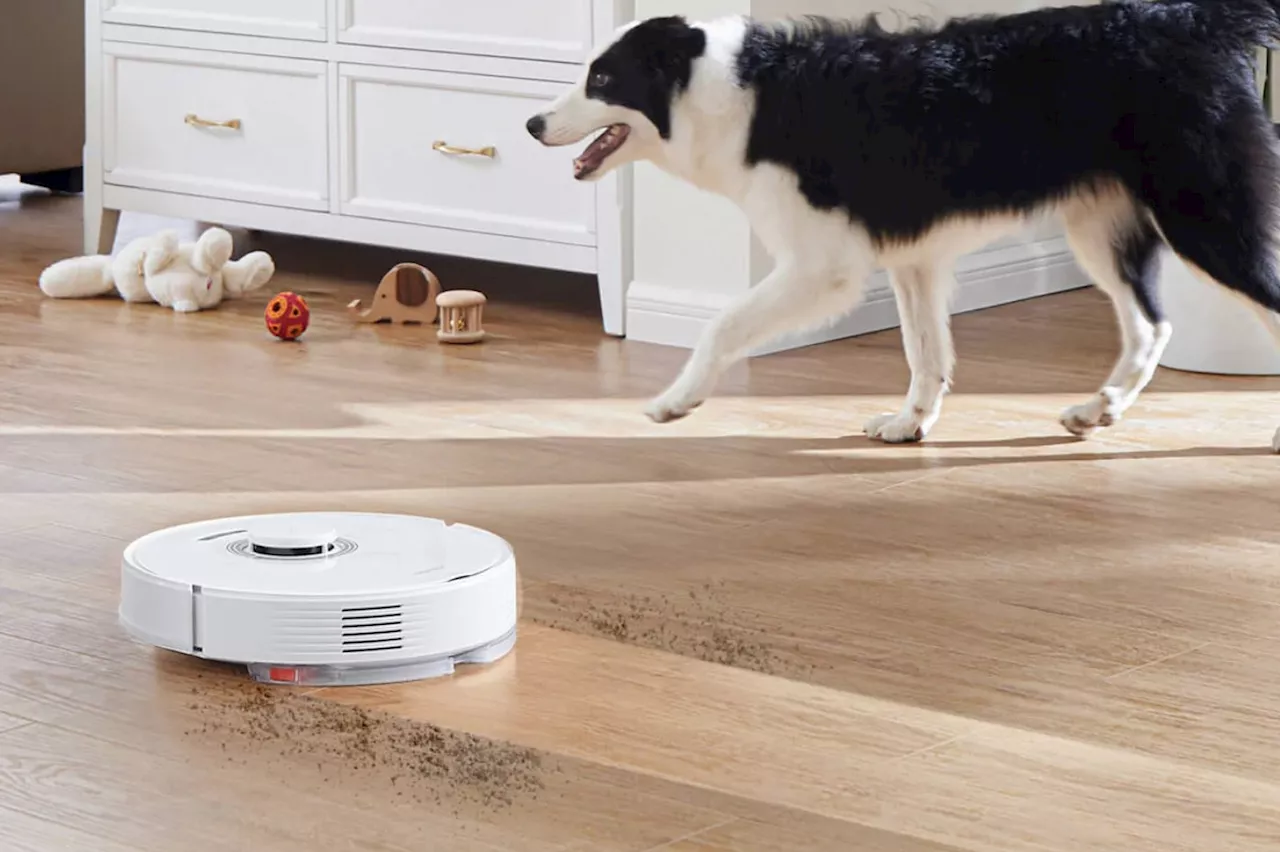 Roborock Q7 Max : ce robot intelligent est un gros maniaque de la propreté (-58%)