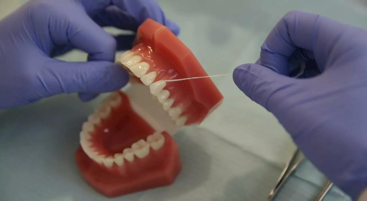 Addio a dentiere e ricostruzione dei denti, dal 2030 potrebbe bastare solo un'iniezione per la ricrescita