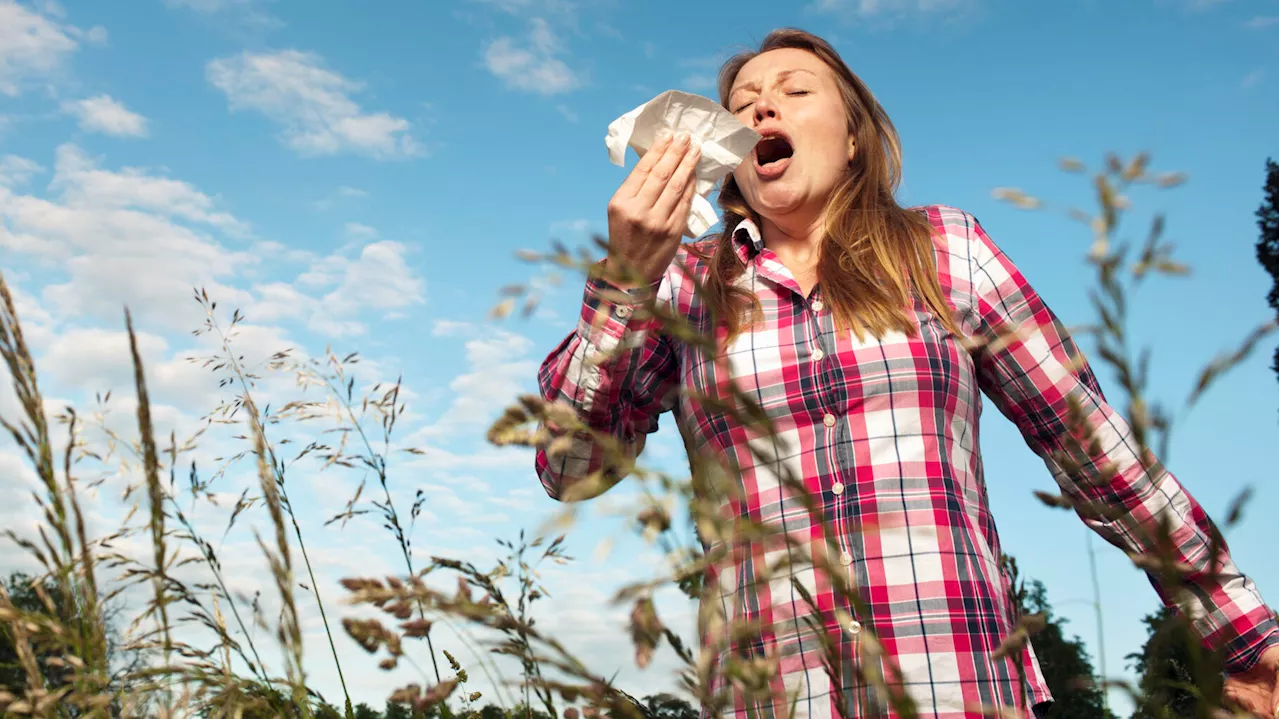 Pollens : avec le retour du soleil et de la chaleur, le risque d’allergie s’annonce maximal