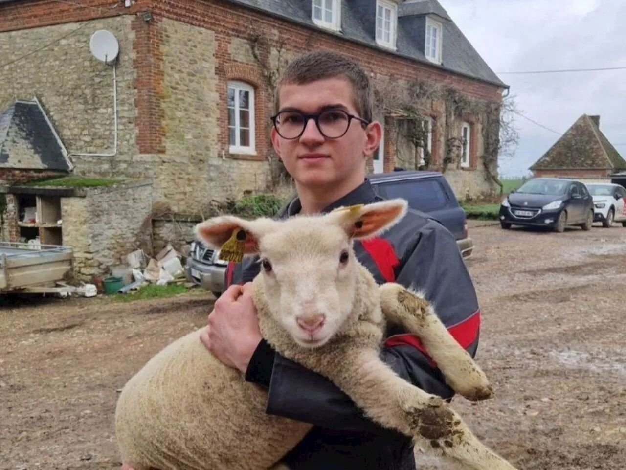 Benoit Toutain de la MFR de Songeons est élu meilleur jeune berger du monde