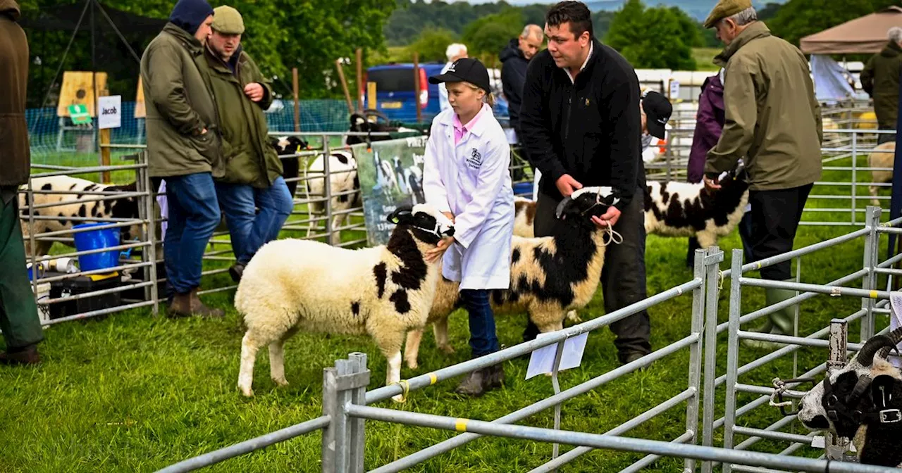 1,000s get into festival spirit at Great Harwood Agricultural Show despite rain