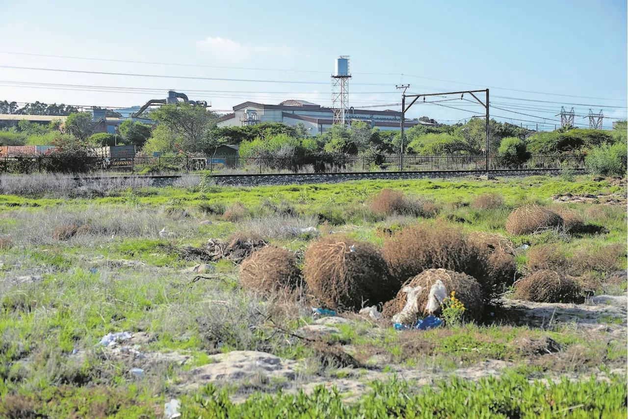 The mystery of the missing toxic industrial waste