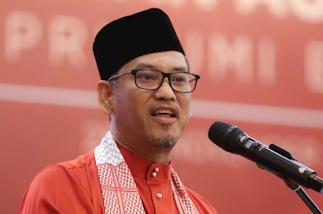 Six MPs who back PM Anwar no longer Bersatu members, says party deputy president