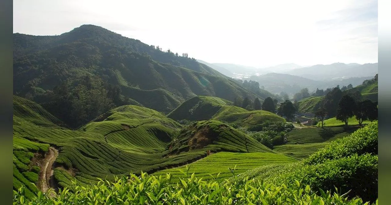 9 Wisata Batang Jawa Tengah Terpopuler, Berikut Rekomendasinya