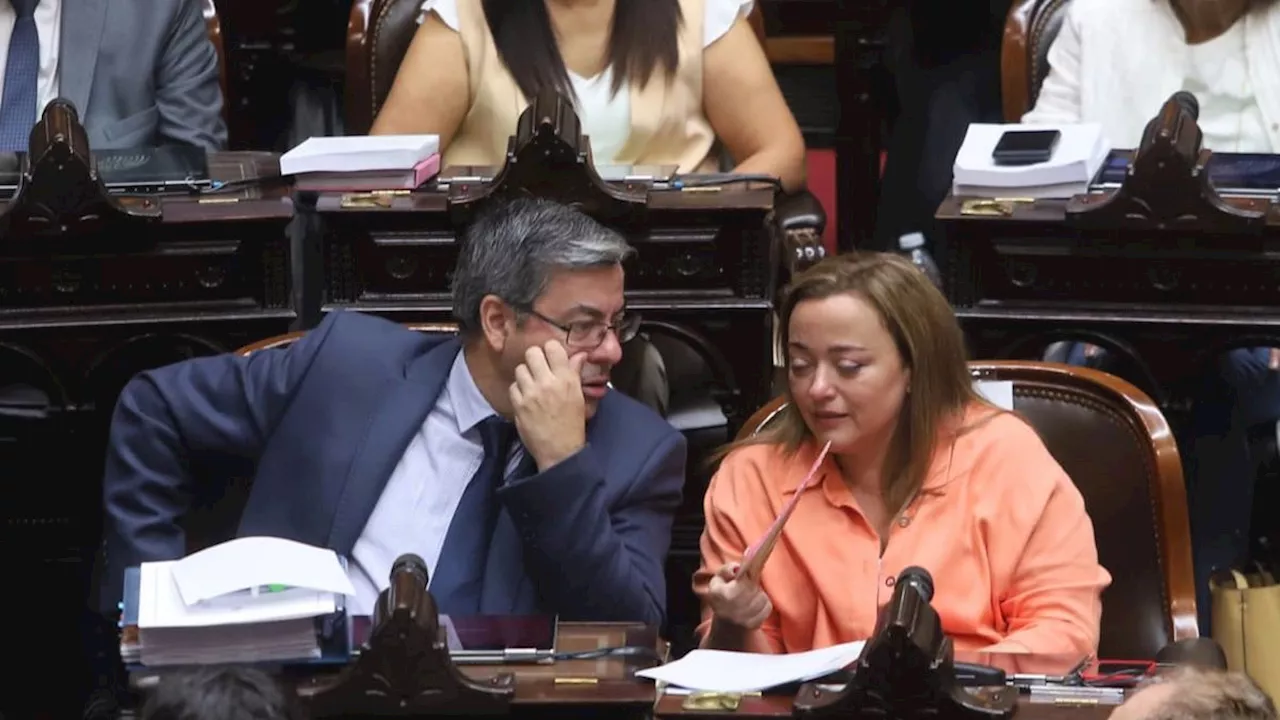 Unión por la Patria pidió que Sandra Pettovello comparezca ante el Congreso por los alimentos