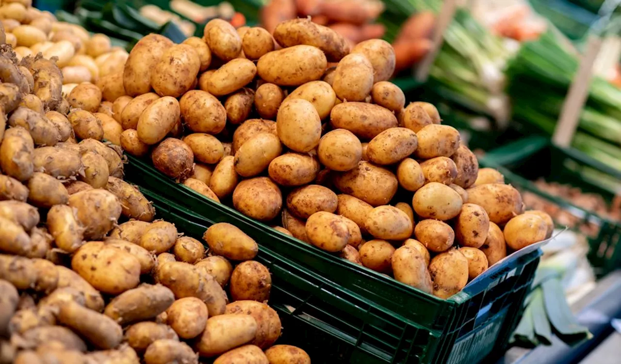 Wegen Pflanzenschutzmittel: Mehrere Supermarktketten rufen Kartoffeln zurück