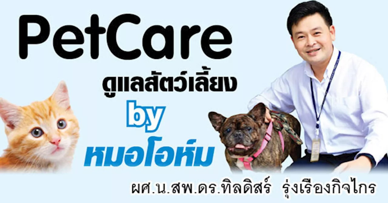 การเป็นแม่นมให้ลูกสัตว์ (ตอน1)