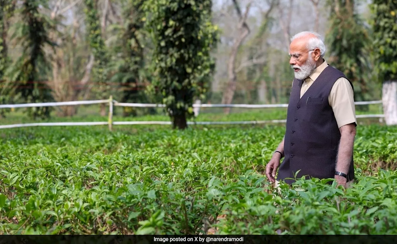 असम में NDA को कितनी सीटें....मणिपुर-मिजोरम में कांग्रेस का क्या हाल? नॉर्थ ईस्ट के 8 राज्यों के EXIT POLL