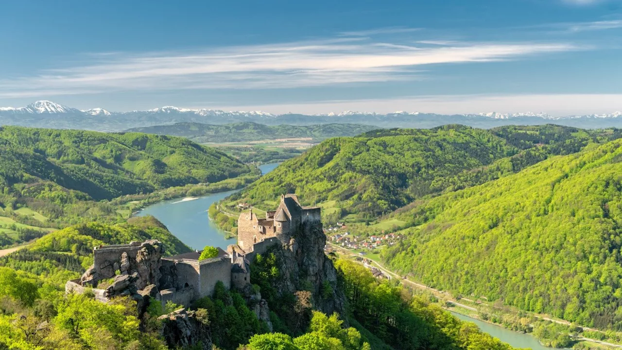 Mittelalterfest auf der Burgruine Aggstein