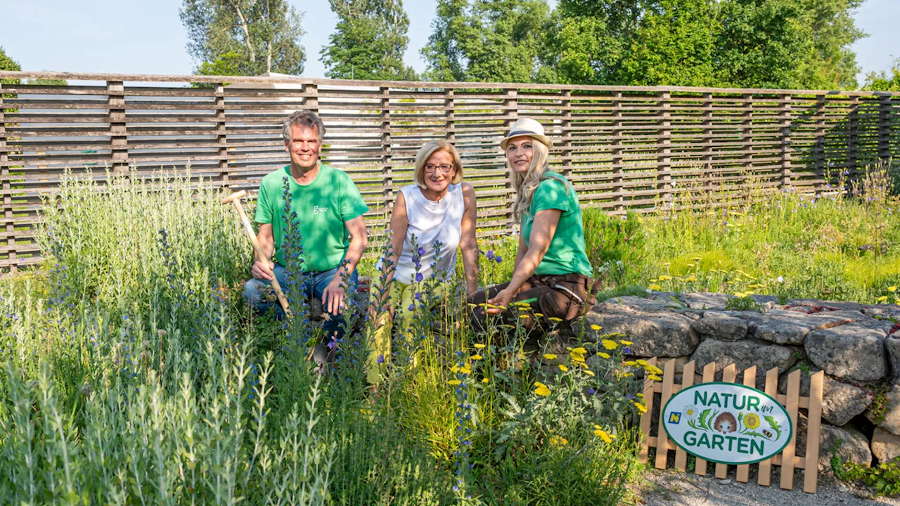 So geht die Garten Tulln auf den Klimawandel ein