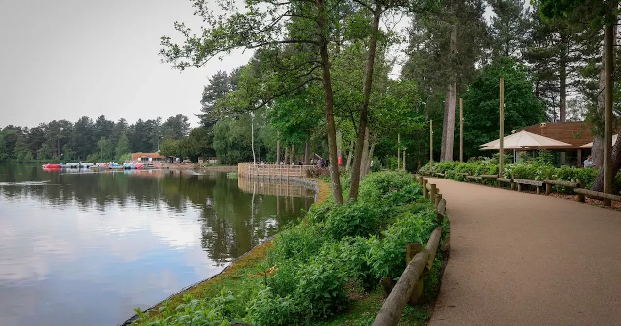 5 fantastic things you can do free of charge at Center Parcs