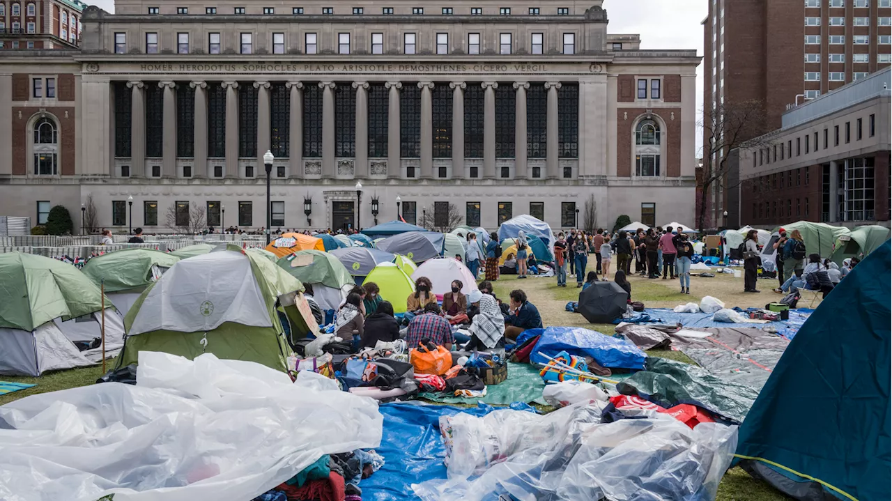 Campus protests over the Gaza war