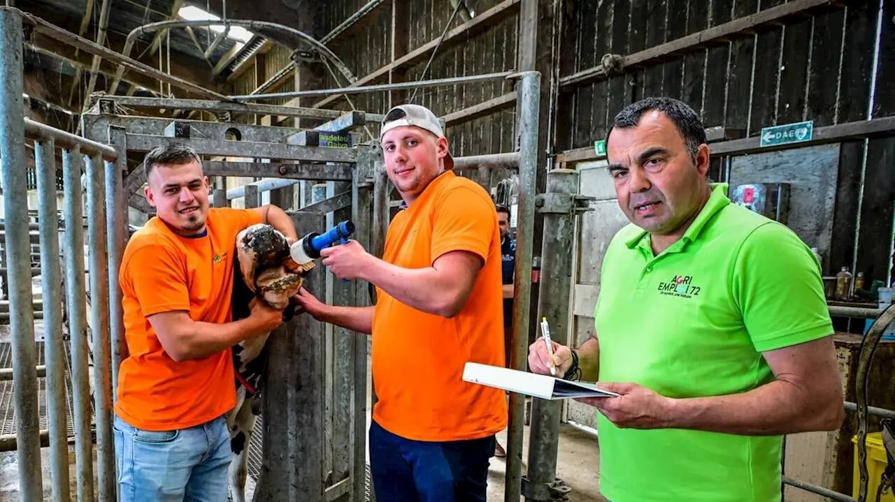 « C’est très formateur » : des Olympiades pour promouvoir le remplacement en agriculture