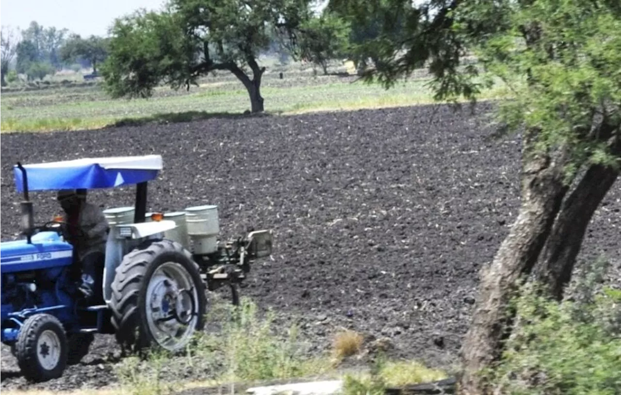 Sin agua ni apoyo, campesinos y ganaderos renuncian en Guanajuato