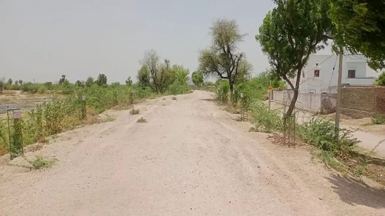 ऐसा गांव जहां युवा बना रहे ऑक्सीजोन, हर तरफ होगी छांव, चहकेंगे पक्षी