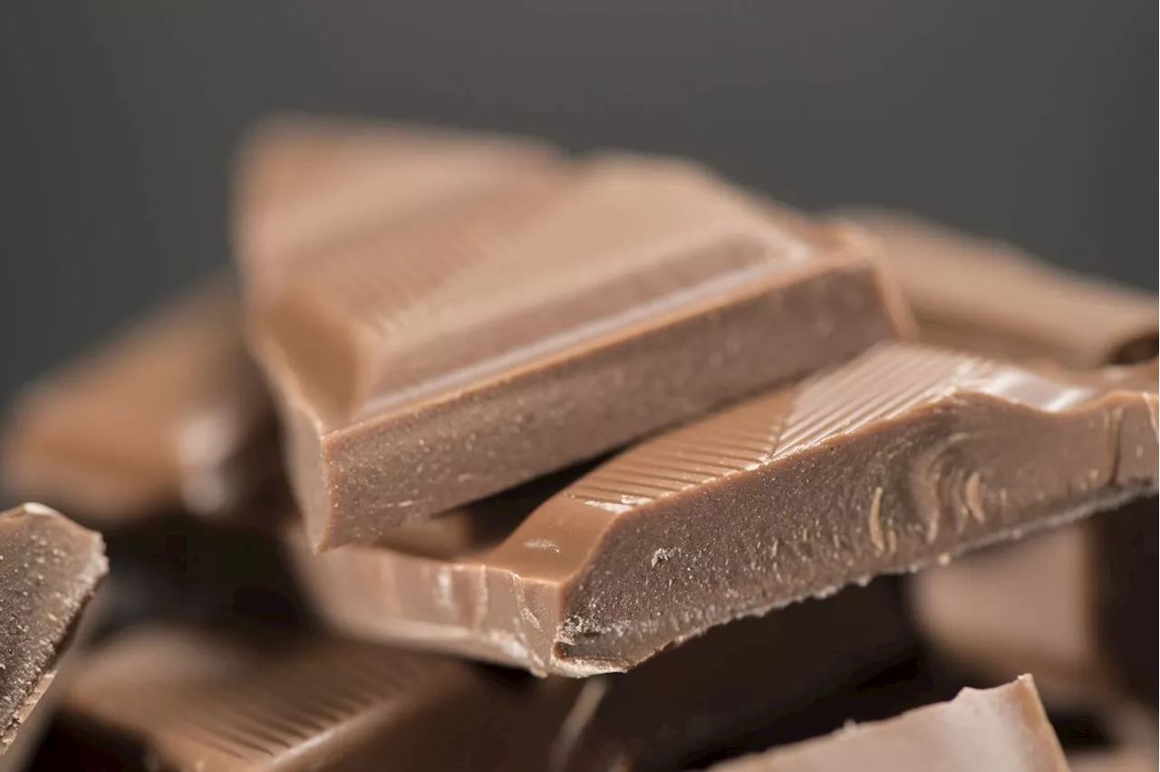 Scientists develop new chocolate that's healthier, more sustainable