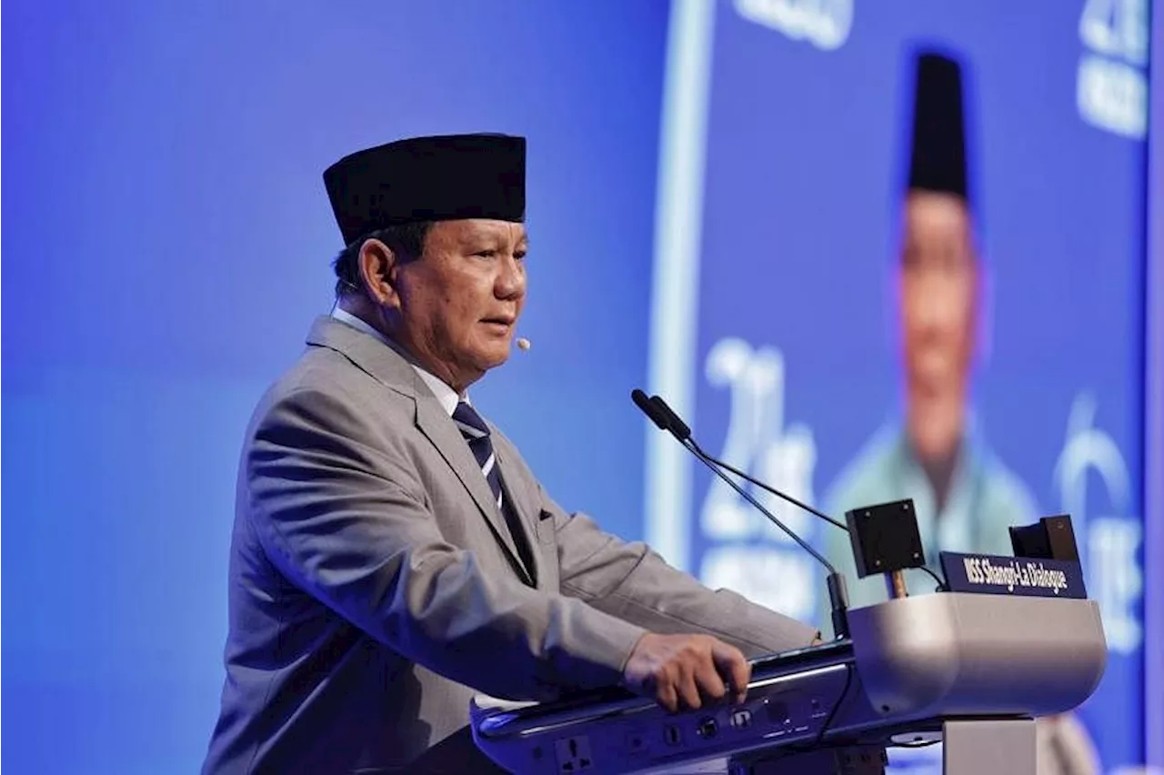 Indonesia ready to send peacekeeping, medical forces to support ceasefire in Gaza: Prabowo