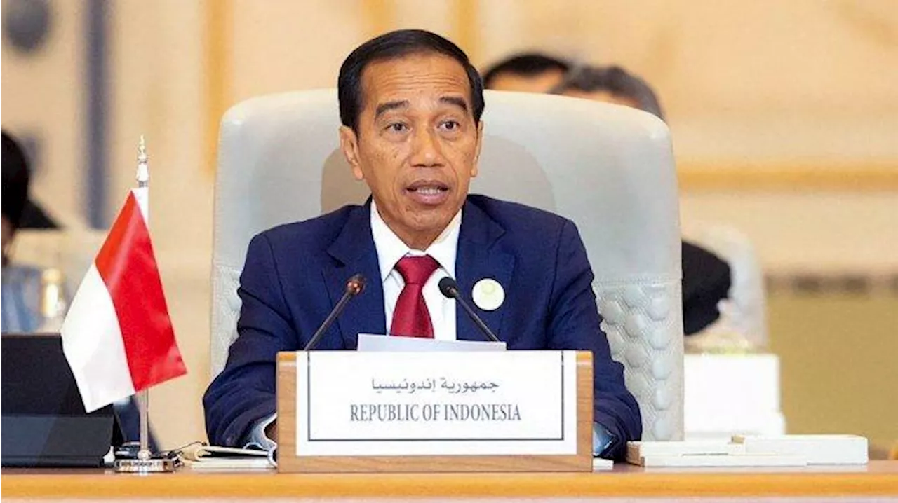 Respons Serangan ke Rafah, Presiden Jokowi Ingatkan Israel Hentikan Serangan ke Palestina