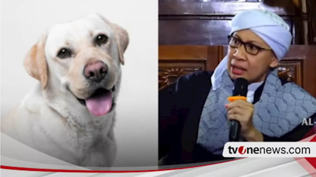 Mulai Sekarang Jangan Tinggalkan Istighfar jika Terkena Najis Anjing, Buya Yahya Bilang itu Tanda-tanda Harus...