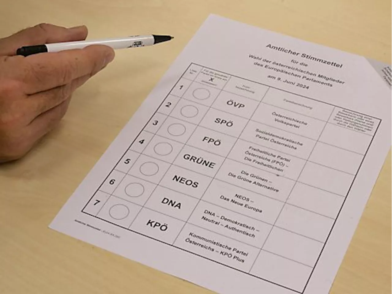 Die Chancen und Ziele der Parteien bei der EU-Wahl