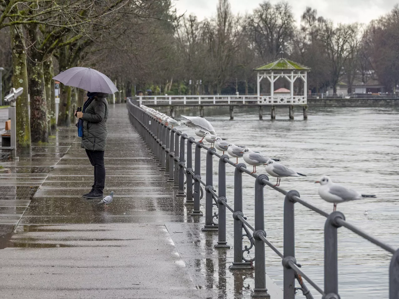 Warnung rund um den Bodensee: Gehen Sie nicht in den Keller!