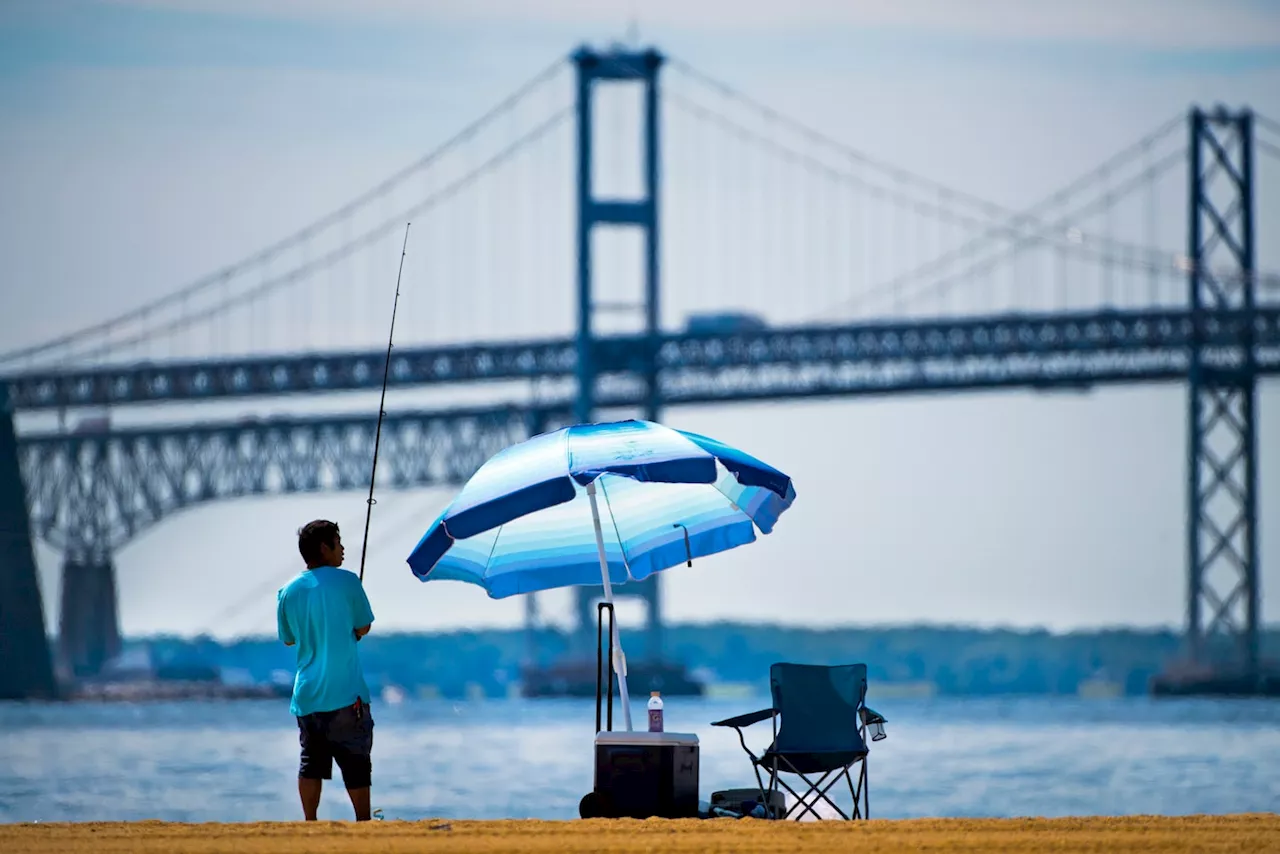 June starts in D.C. as May ended, with a day of delight