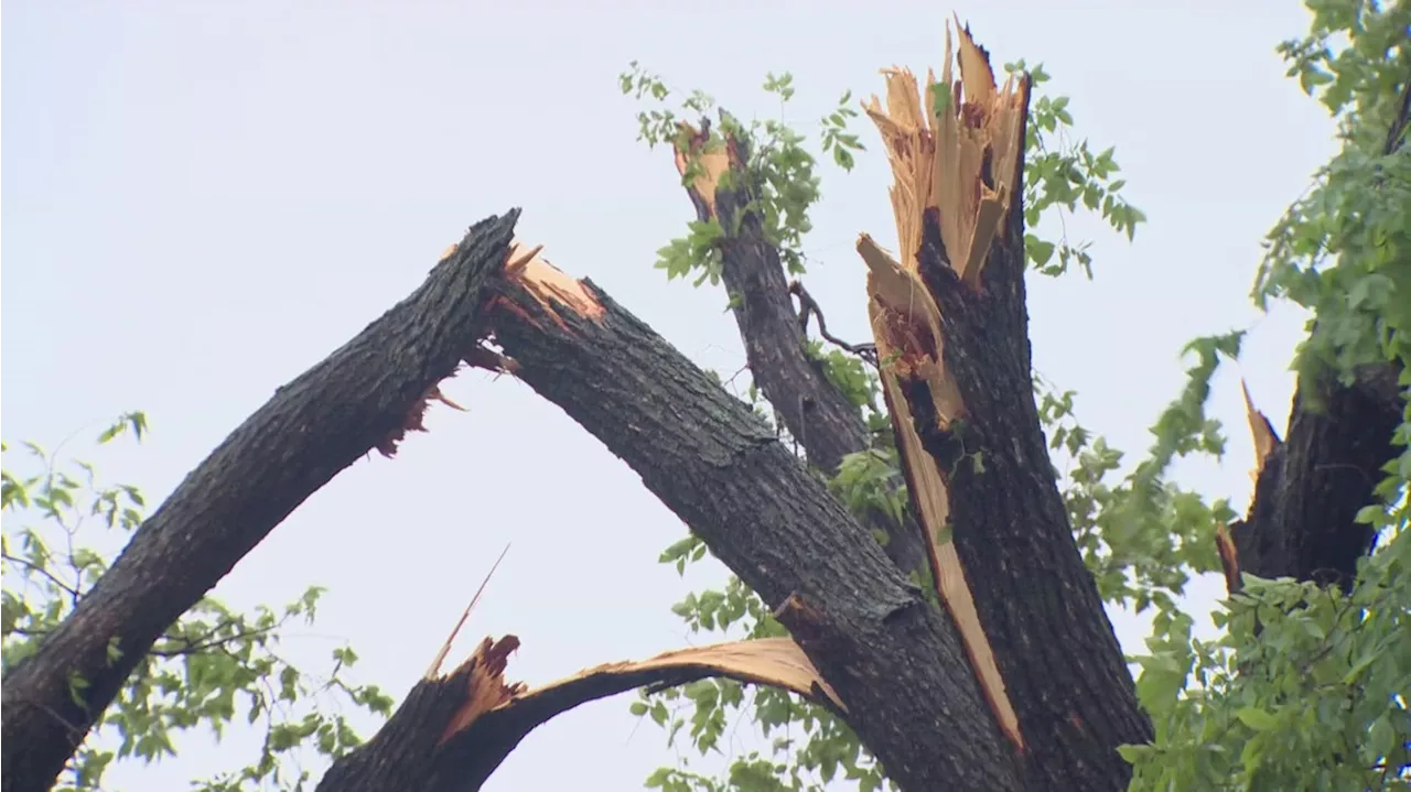 City of Dallas, Dallas ISD will open resource center for residents impacted by storms