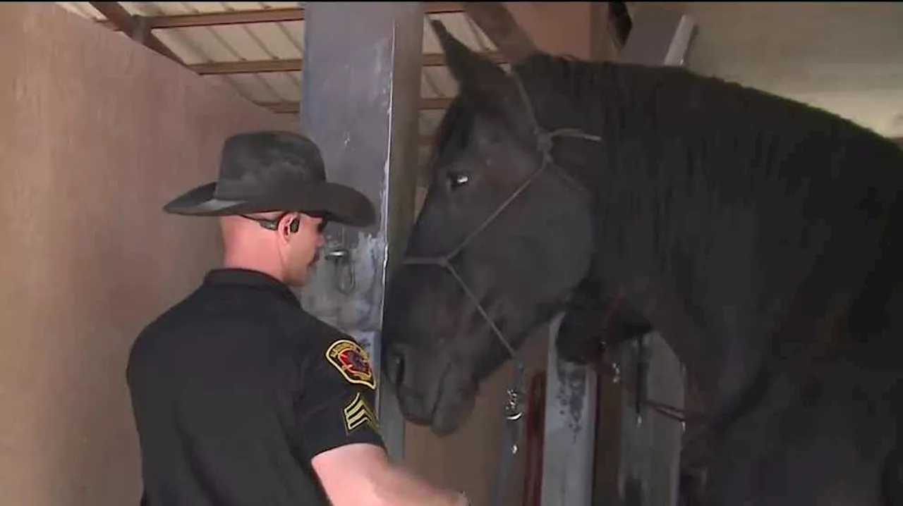 New Mexico police department helps to bring police horses to small town in Idaho