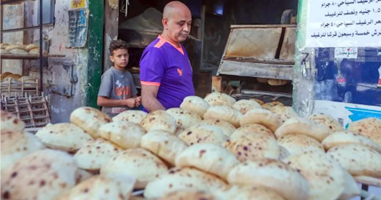 وزارة التموين: انتظام صرف الخبز المدعم للمواطنين من خلال 30 ألف مخبز