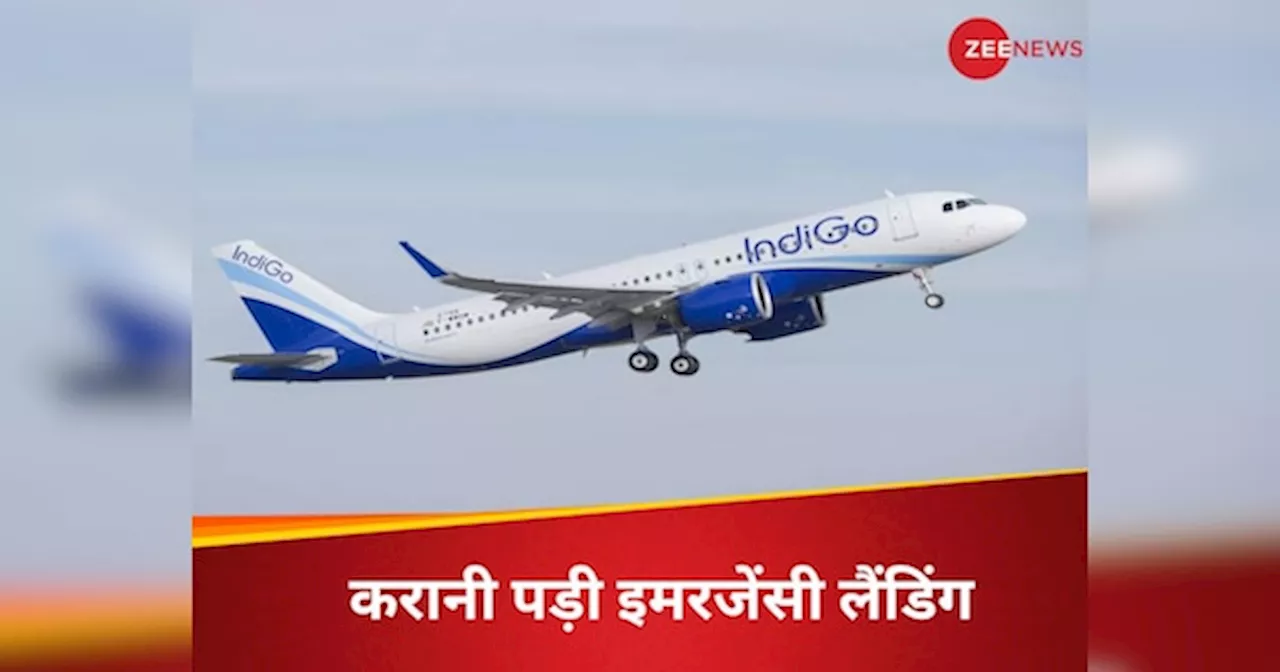 Indigo : चेन्नई से मुंबई जा रहे विमान को बम से उड़ाने की धमकी, हलक में अटकी 172 यात्रियों की जान