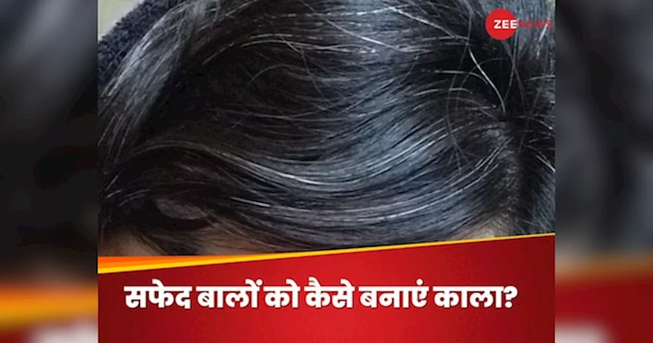 White Hair Problems: 30 साल के होने से पहले ही बालों में आ गई सफेदी? डार्क हेयर के लिए करें ये उपाय