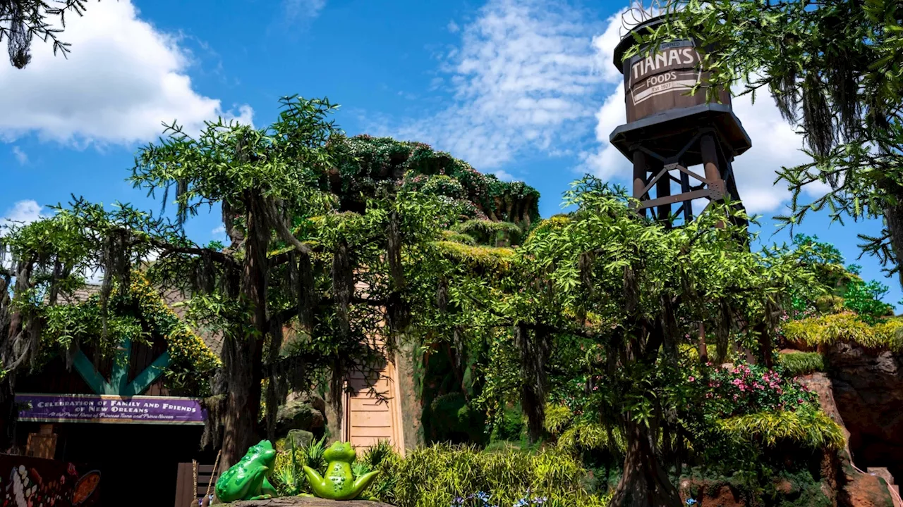 Mosey down the bayou in 1st look at Disney's new 'The Princess and the Frog' ride