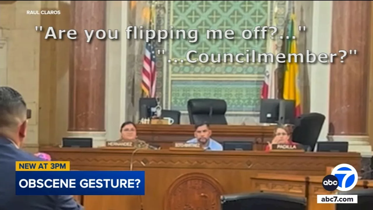 Video appears to show LA city councilwoman flip off man during public comment